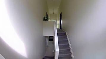 Eine Treppe mit Handlauf, die zu einer Zwischenebene mit einer Pflanze führt.