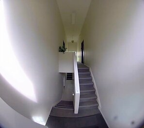 A staircase with a handrail, leading to a landing with a plant. - Beacon Suite (Edmonton)