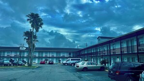 Ein Motel mit Parkplatz, mehreren Autos und einer Palme.