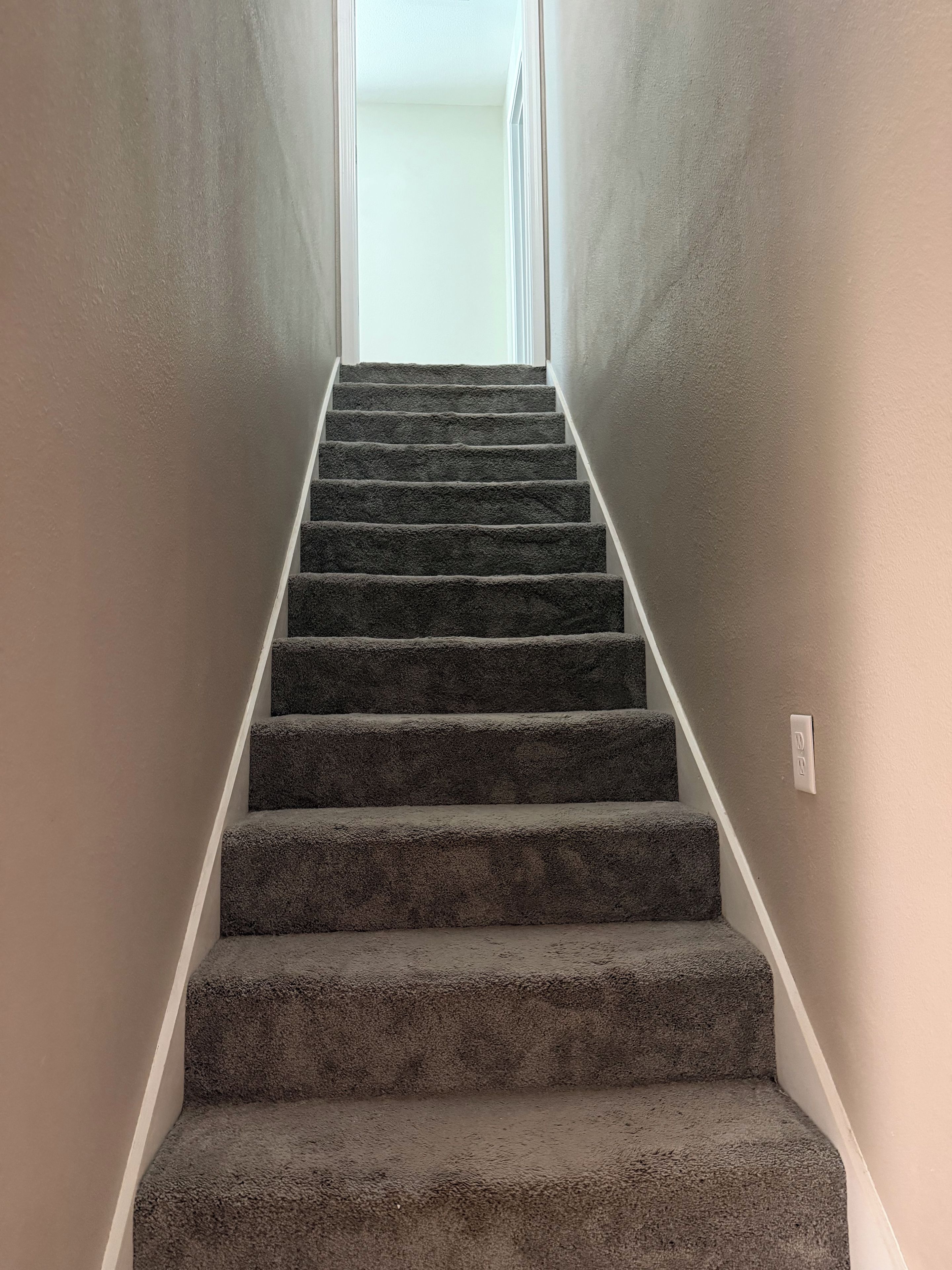 A carpeted staircase with a white handrail leading to a bright interior.