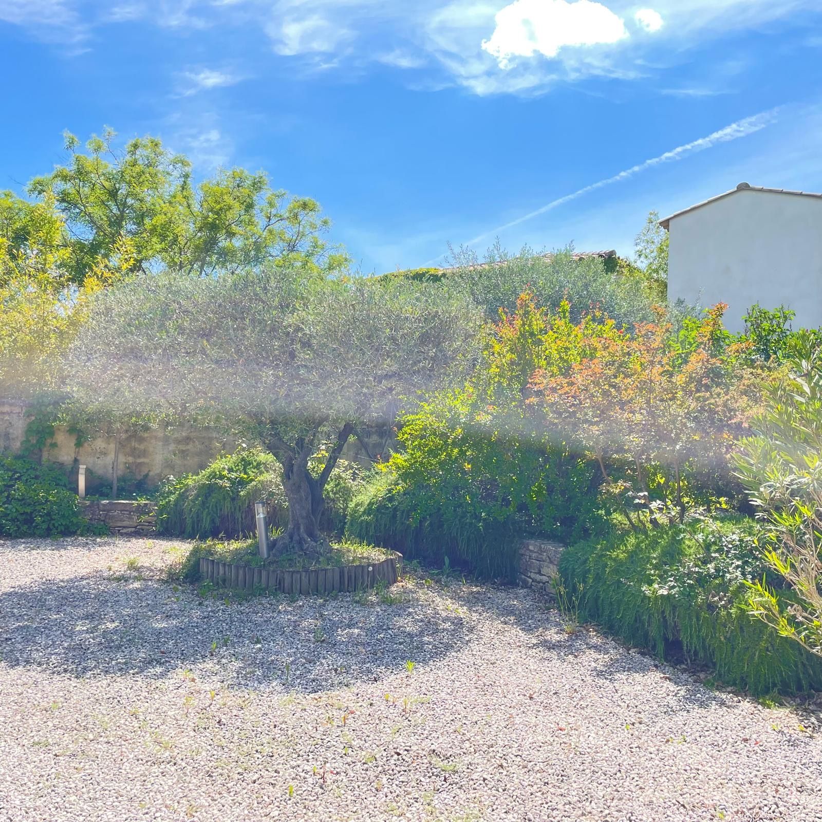 Ein Garten mit verschiedenen Pflanzen und einem Kiesweg.
