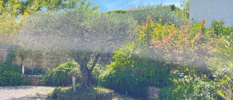 Ein Garten mit verschiedenen Pflanzen und einem Kiesweg.