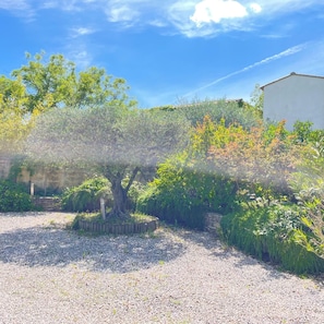 Een tuin met diverse planten en een grindpad.
