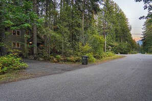 Ein bewaldetes Gebiet mit einer asphaltierten Straße, einem Gebäude mit Veranda und einem Mülleimer.