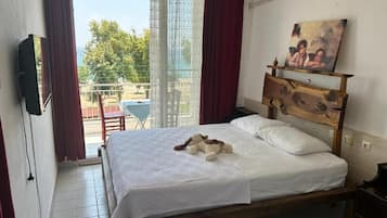 Quarto com cama, quadro, cabeceira de madeira, televisão e vista para o exterior.