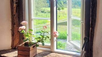 Une fenêtre donnant sur un paysage verdoyant, une caisse en bois remplie de fleurs et un objet en métal posé sur le rebord.