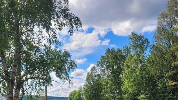Un área de estar al aire libre con una mesa, sillas, una taza de café y vistas de un paisaje verde con árboles y colinas.