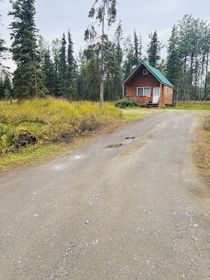 A wooden cabin with a green roof, surrounded by a forest. - 1-bedroom cabin in Soldotna perfect for a cozy getaway near the Kenai River (Soldotna)