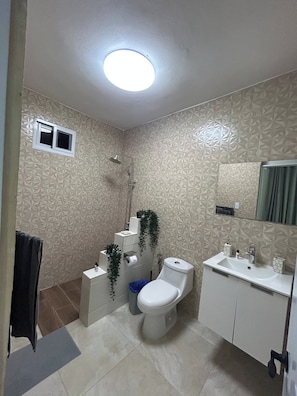 A bathroom with a shower, toilet, sink, and a mirror. - Luxurious Villa Retreat With Private Pool in Villa Vásquez (Villa Vásquez)