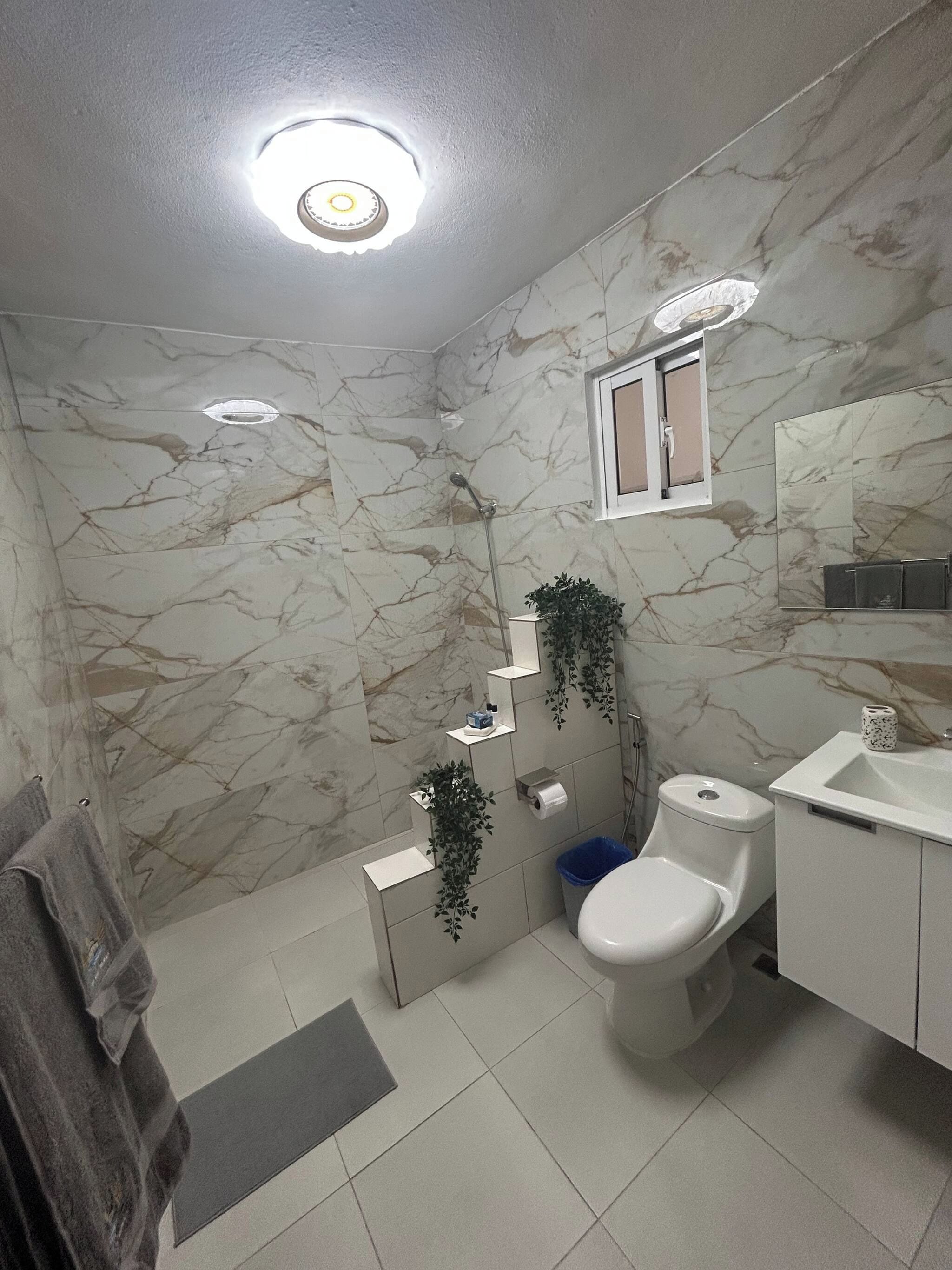 Une salle de bain avec des toilettes, un lavabo et une douche.