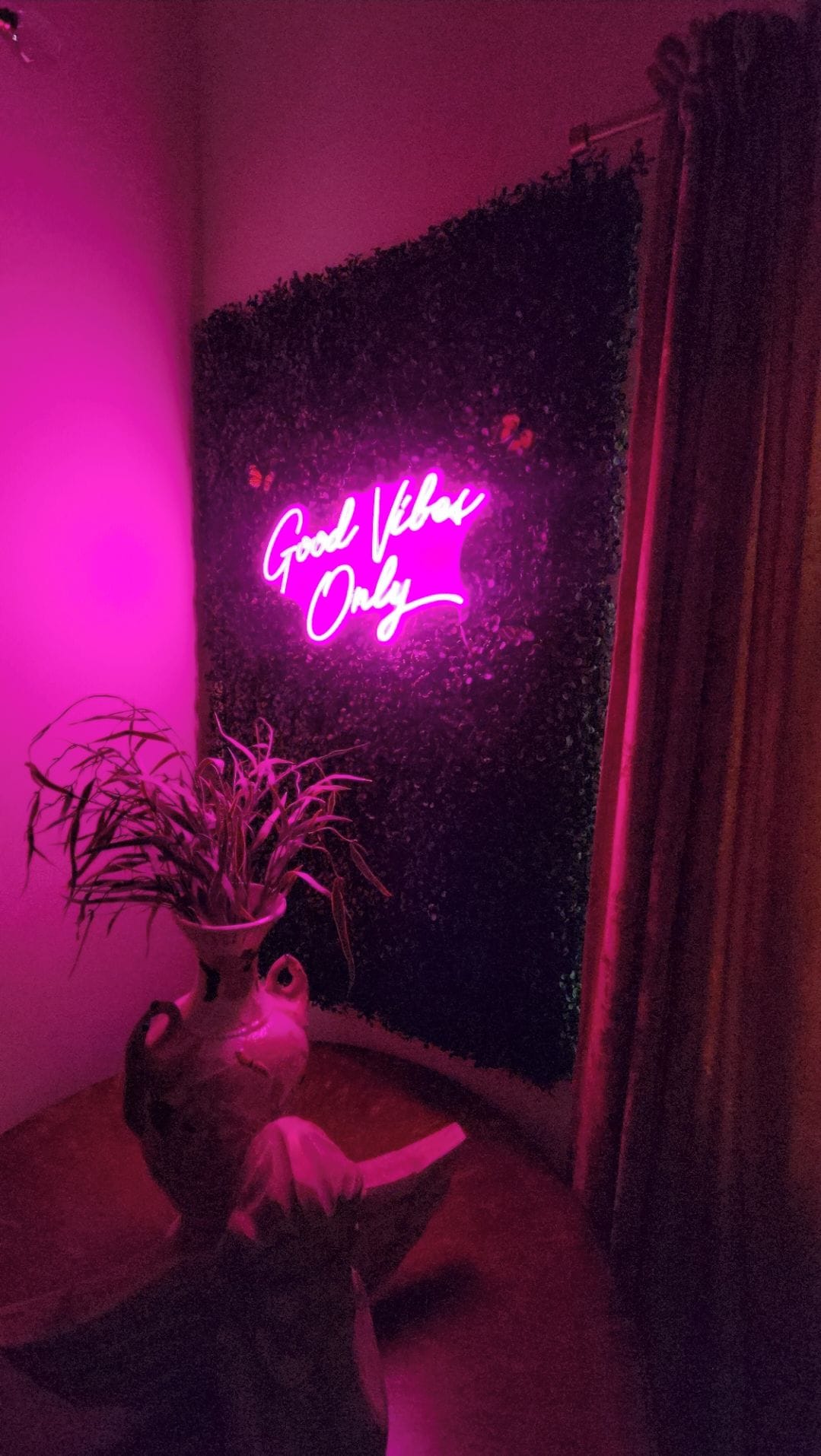 A room with a neon sign reading 'Good Vibes Only' on a textured wall, a potted plant, and a curtain.