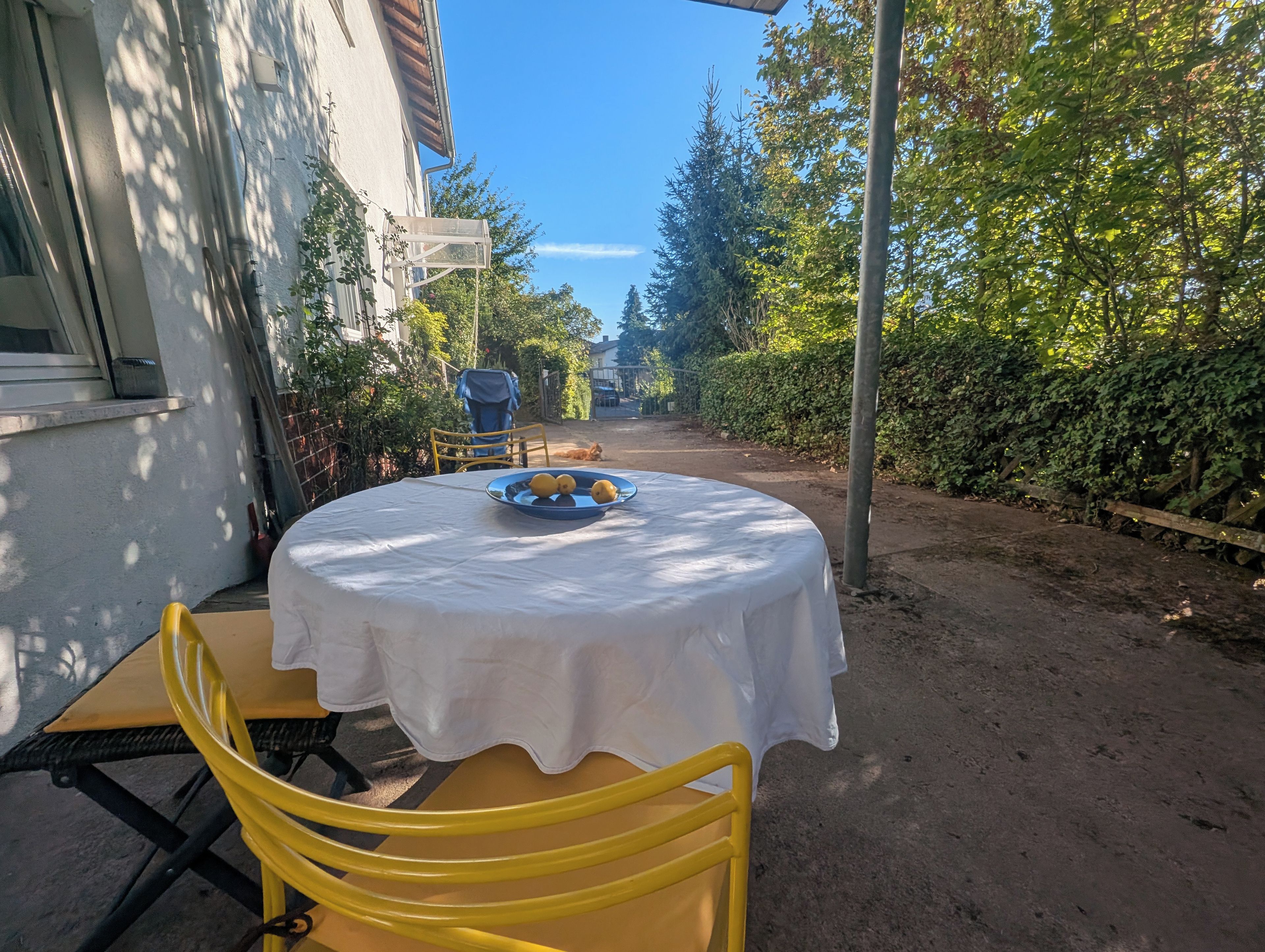 Une table ronde recouverte d’une nappe blanche, sur laquelle est disposée une assiette bleue remplie de citrons, le tout placé devant un chemin de terre et une végétation luxuriante.