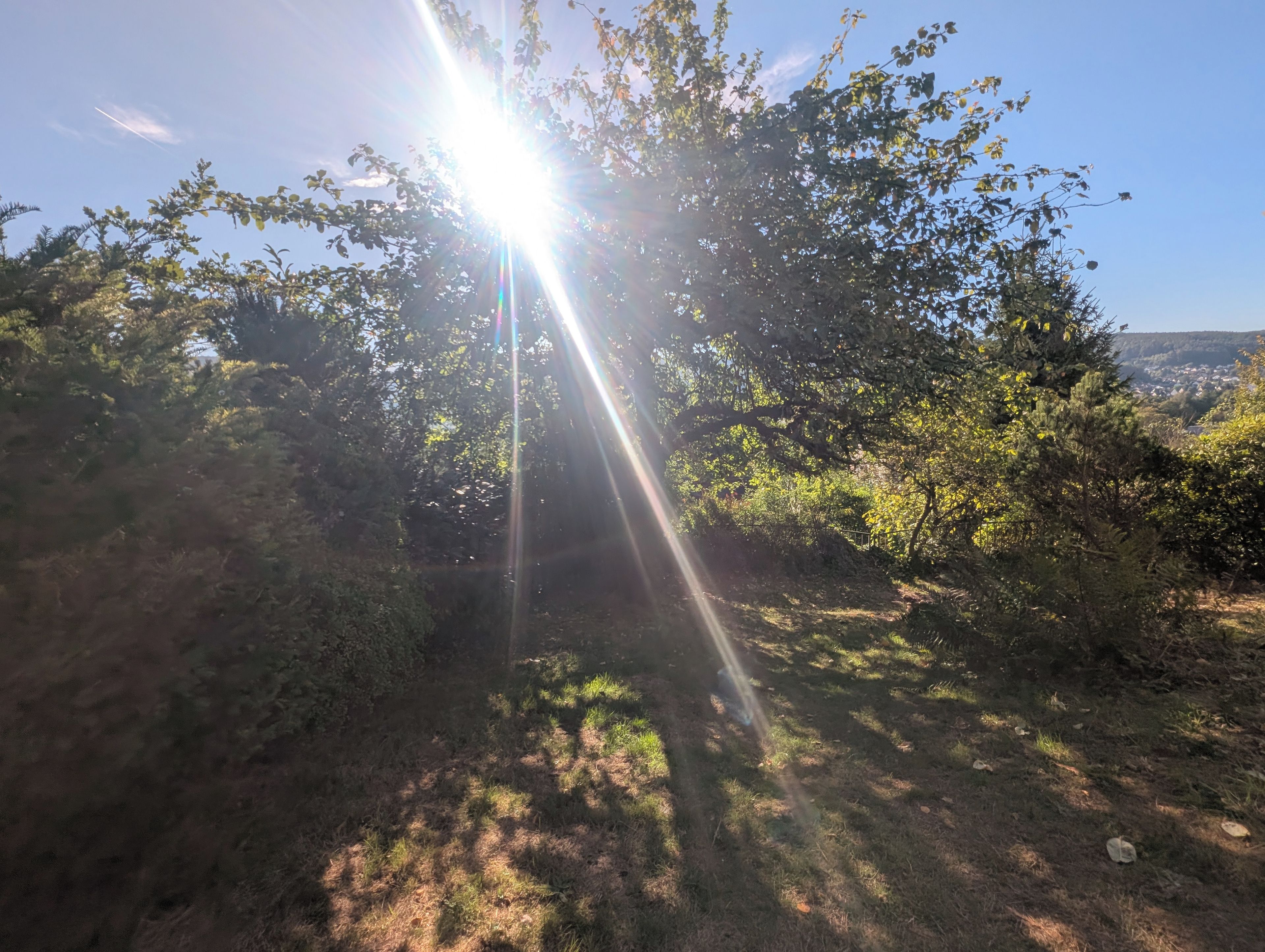A natural landscape with sunlight filtering through trees.