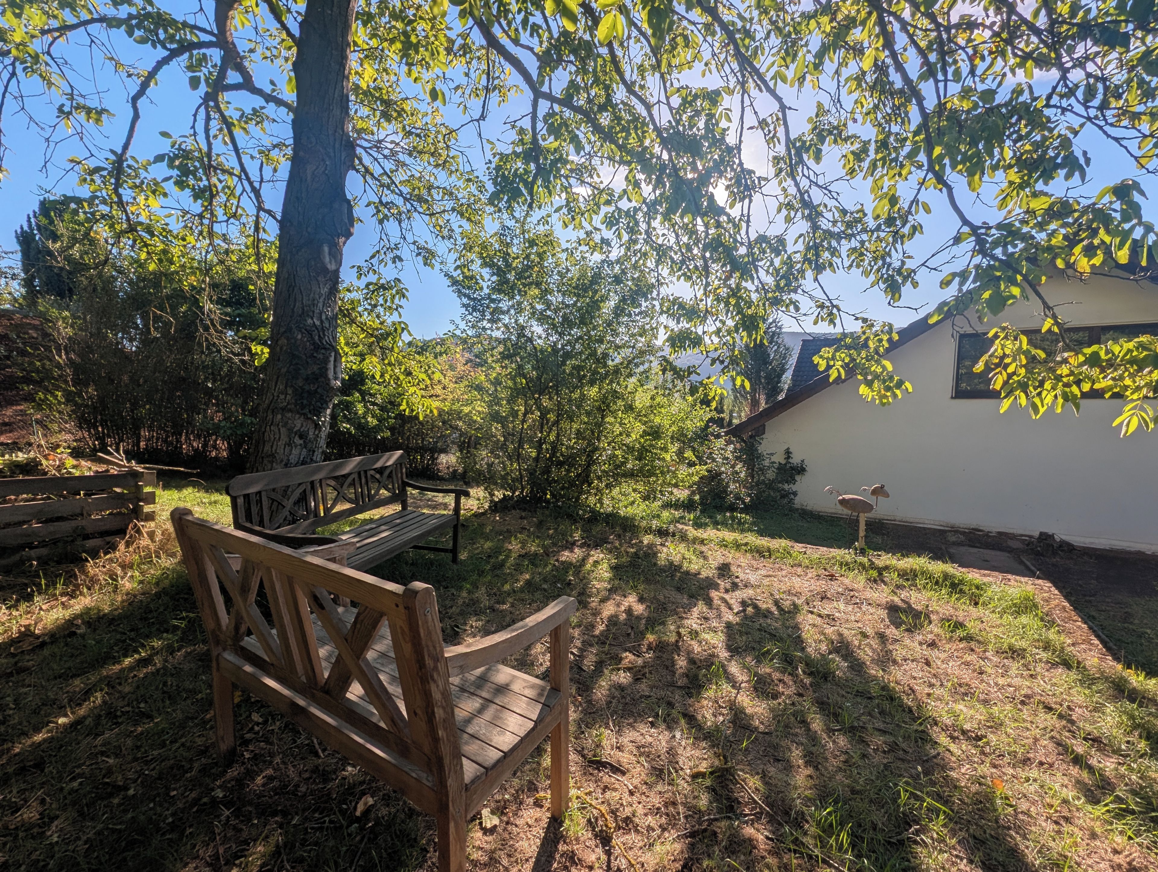 Un banc en bois se trouve dans un espace verdoyant, avec un arbre et un bâtiment blanc en arrière-plan.