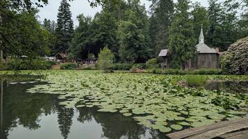 A serene pond with lily pads, surrounded by lush greenery and a small wooden structure with a cross on top.