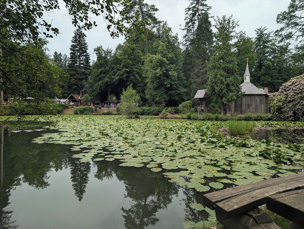 Een vredig vijvertje met waterlelies, omgeven door weelderige begroeiing en een klein houten gebouwtje met een kruis bovenop.