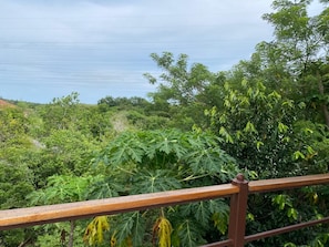 A lush green landscape with a wooden railing in the foreground. - Private Oasis Villa: Pool, BBQ Area & Lush Nature - Family Friendly (Provincia de Panamá Oeste, Corregimiento de Guayabito)