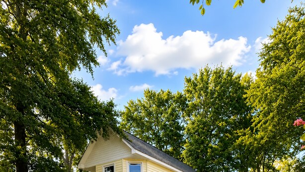 Unclassified image, 1 of 28, button - Remodeled 3BR W/Huge Yard next to Bruces Field (Aiken)