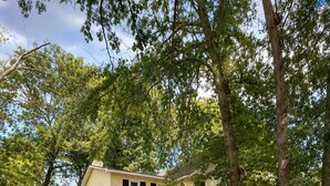 Unclassified image, 2 of 28, button - Remodeled 3BR W/Huge Yard next to Bruces Field (Aiken)