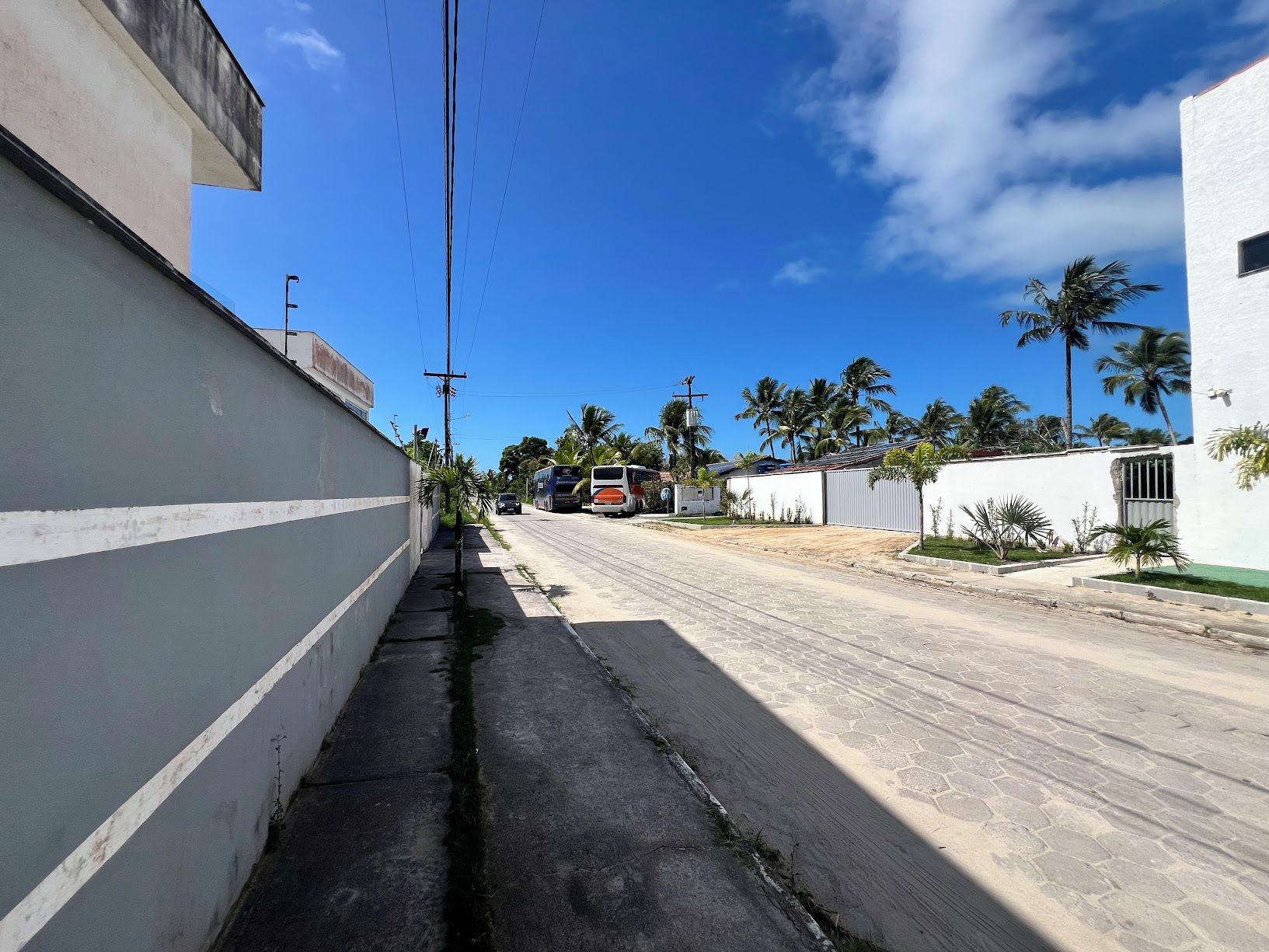 Una calle residencial con acera, un autobús estacionado y palmeras.