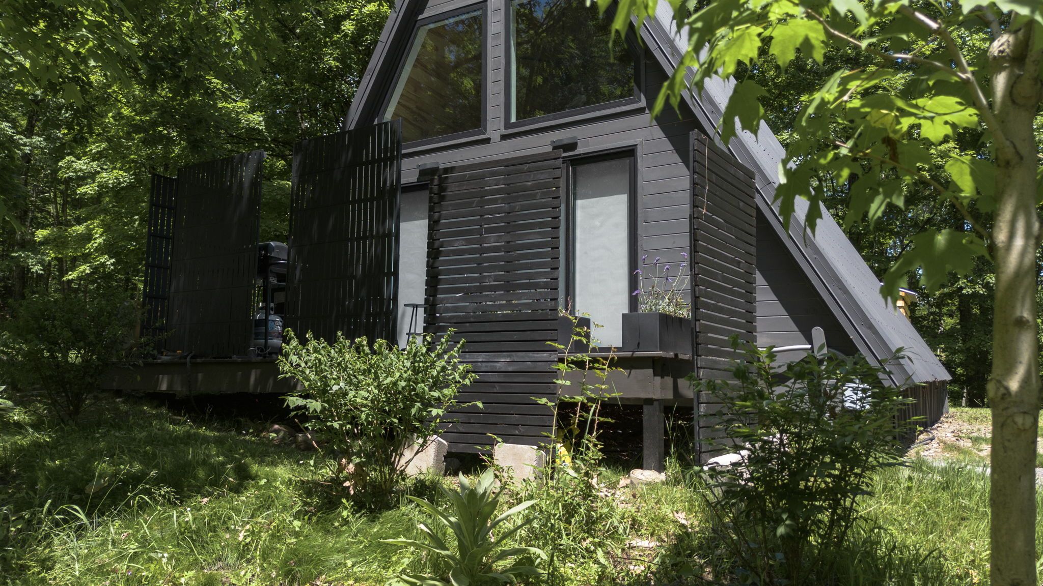 A modern, dark-colored cabin with a sloped roof, surrounded by lush greenery.