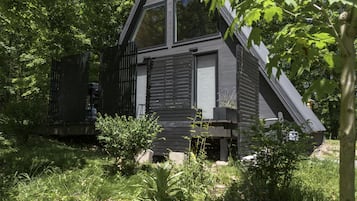 A modern, dark-colored cabin with a sloped roof, surrounded by lush greenery.