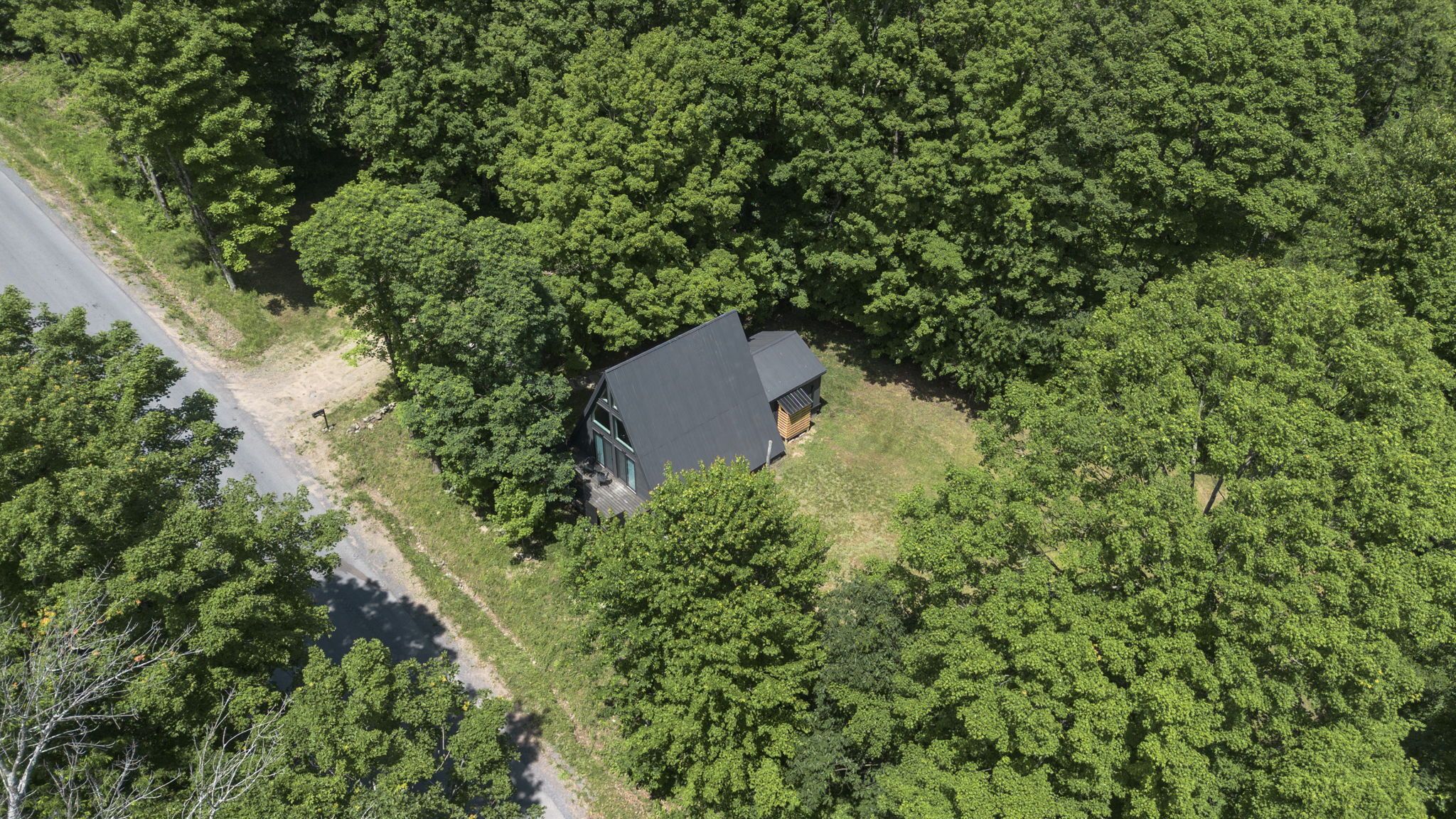 A secluded cabin surrounded by dense forest, with a clear road to the left.