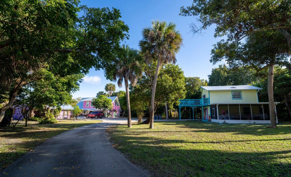 A residential area with a paved driveway, houses, and palm trees.