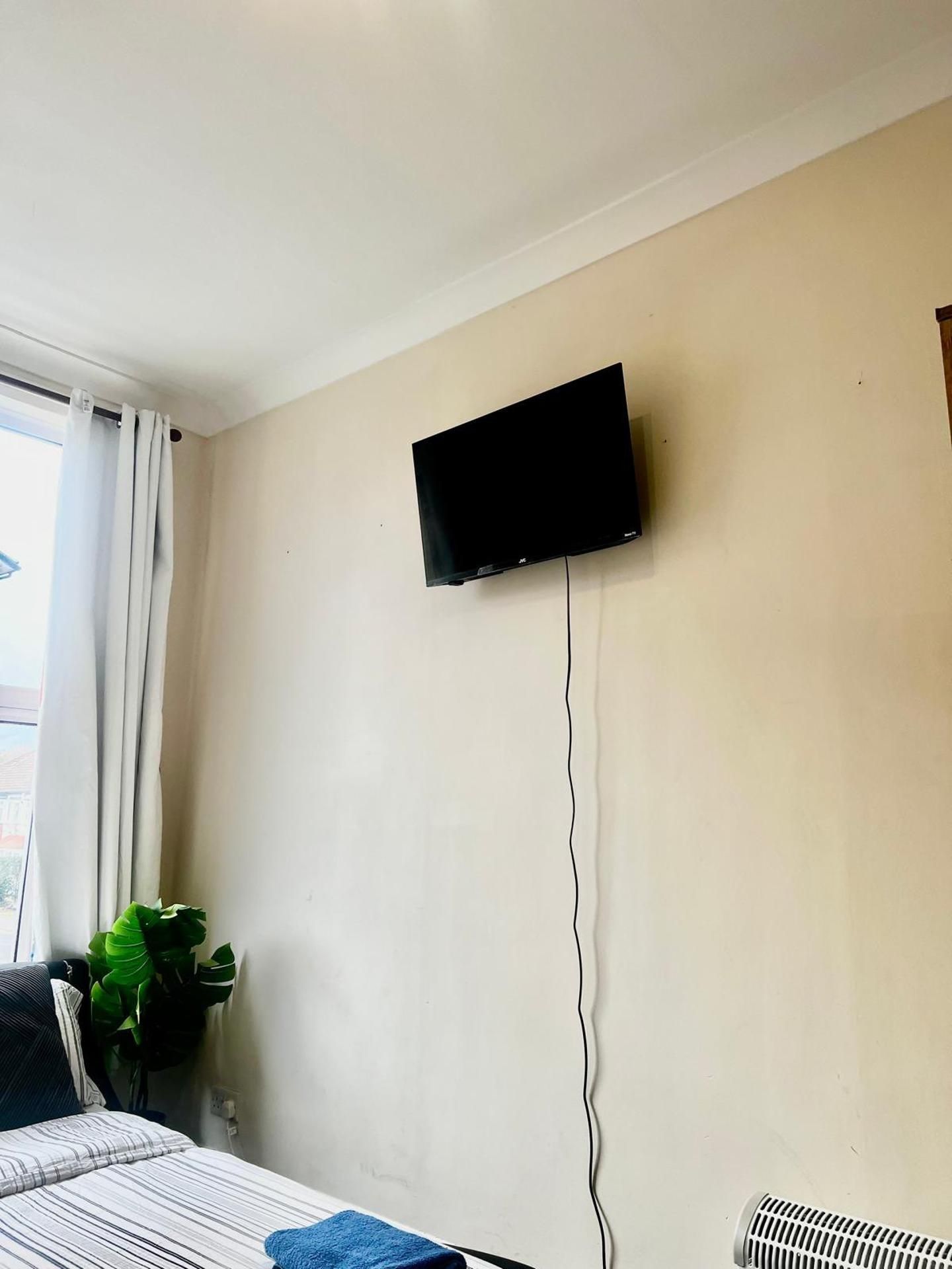 A room with a bed, a plant, and a mounted television.