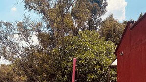 Outdoor dining - Enjoyable Studio with a Terrace in Mexico City (Ciudad de México)