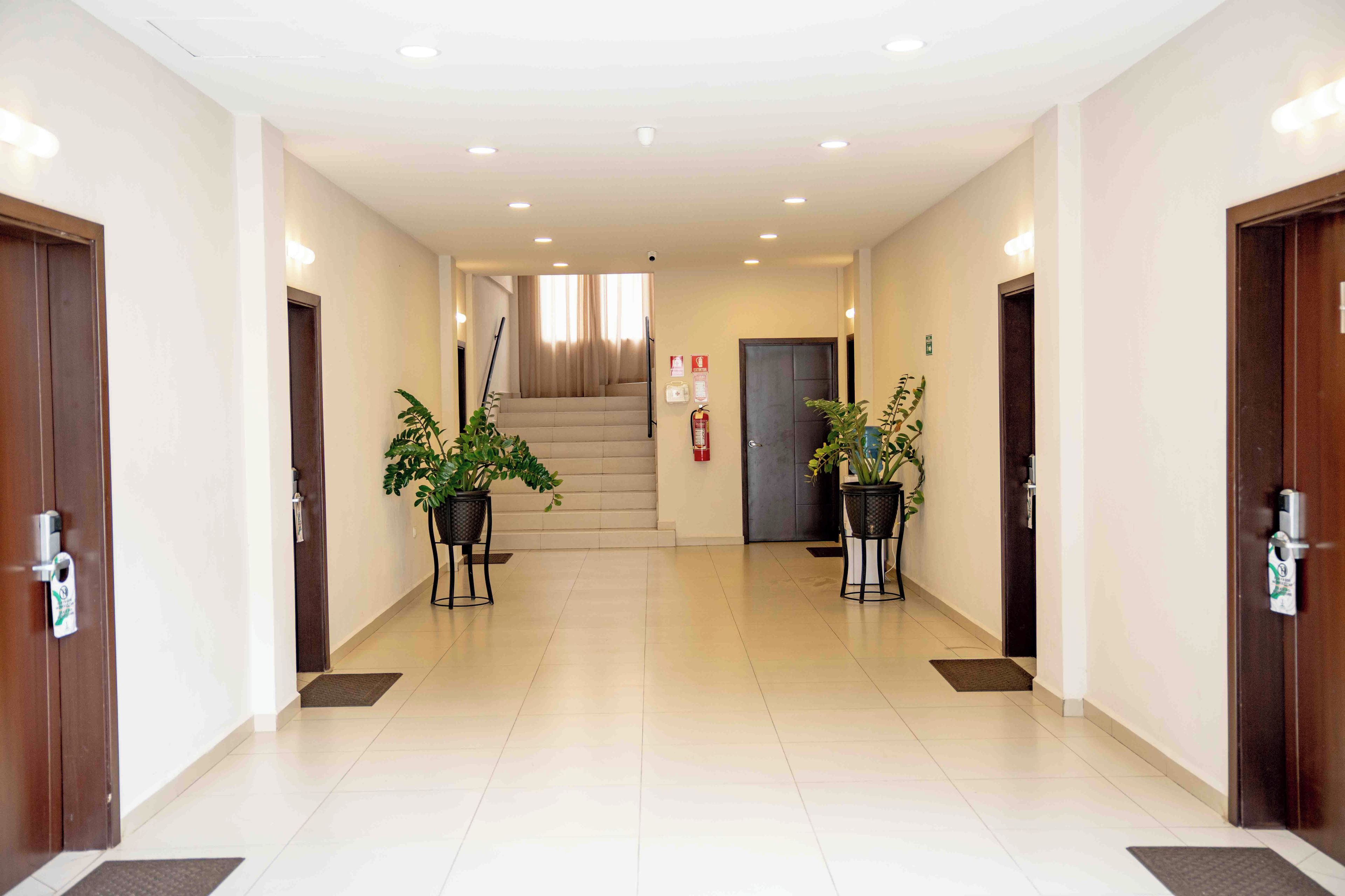 A hotel hallway with two potted plants, a staircase, and a fire extinguisher.