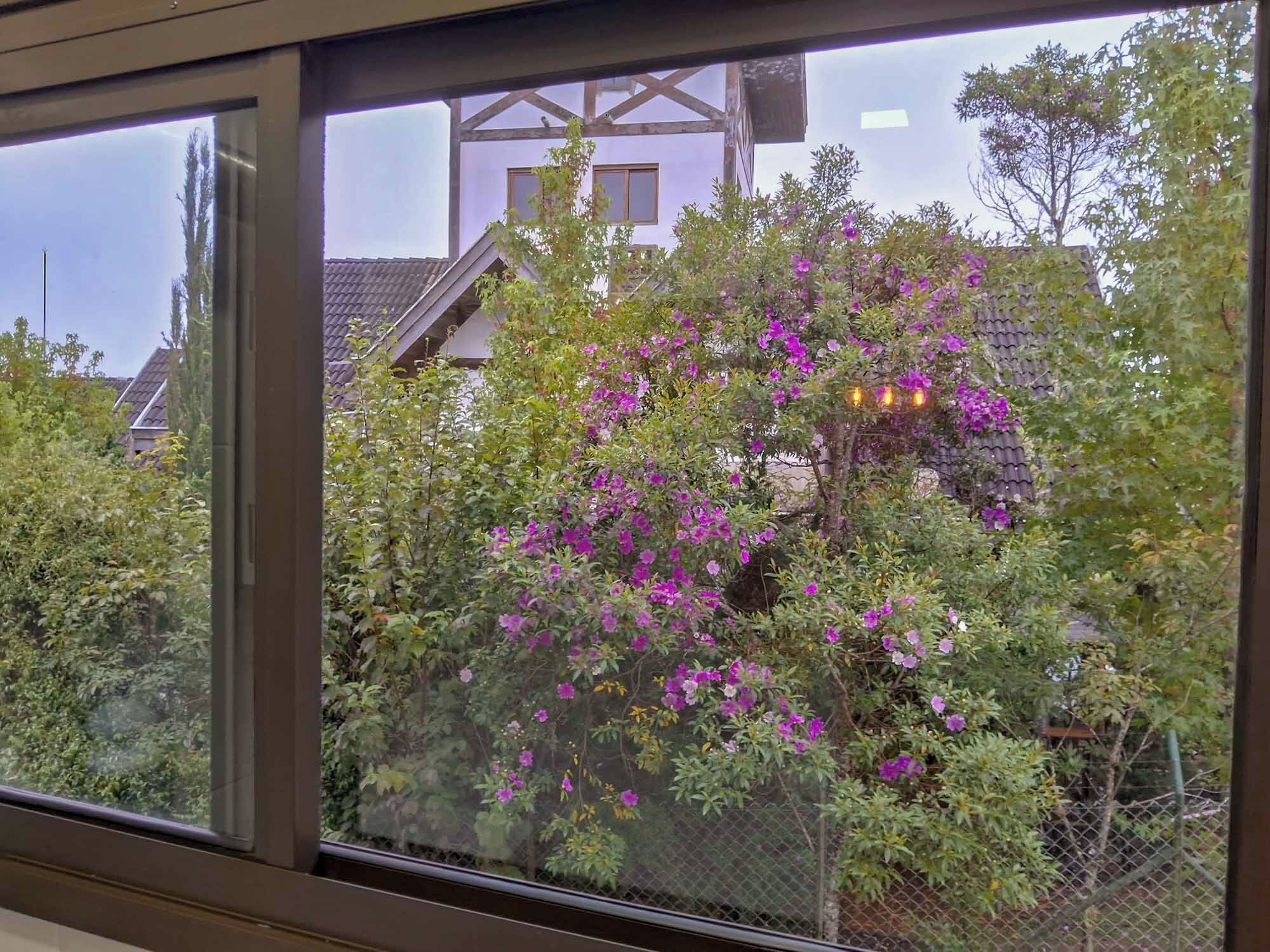 A window view of a house with a garden in front, a fence, and a building with a tiled roof in the background.