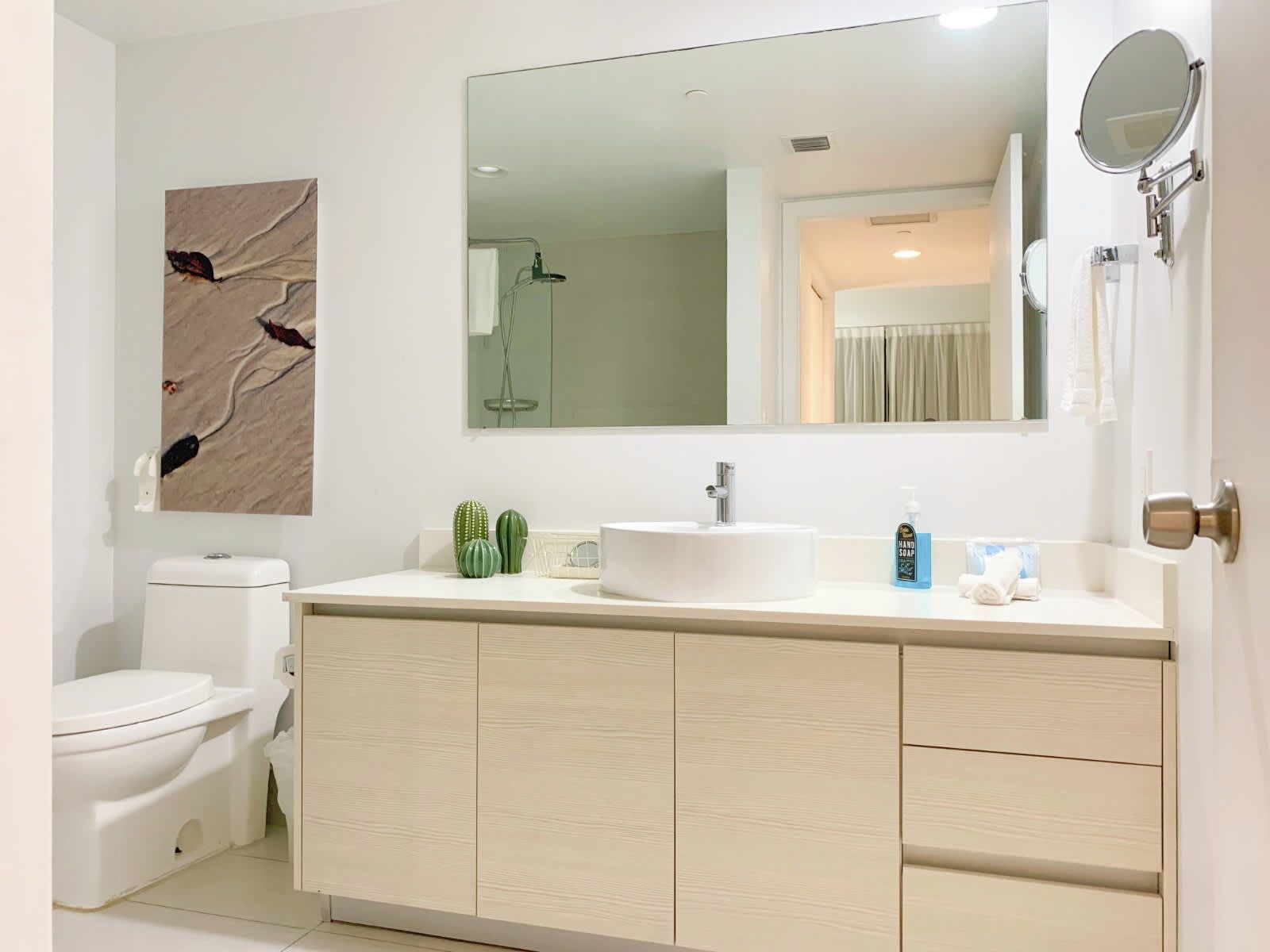 Une salle de bain moderne avec un lavabo blanc, un miroir et des toilettes. On peut voir des cactus décoratifs sur le comptoir.
