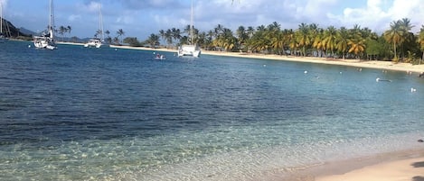 Una playa con agua cristalina, barcos y palmeras.
