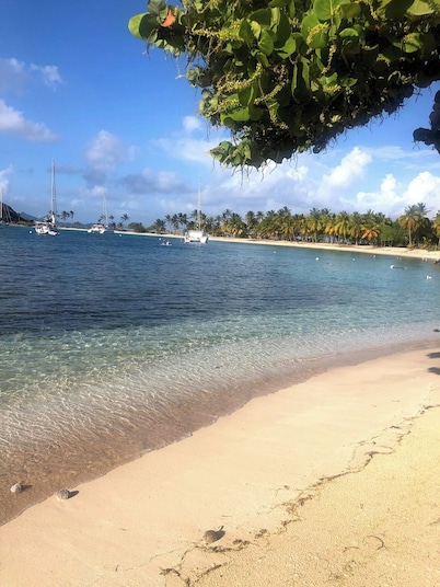 Turtle Nest Mayreau