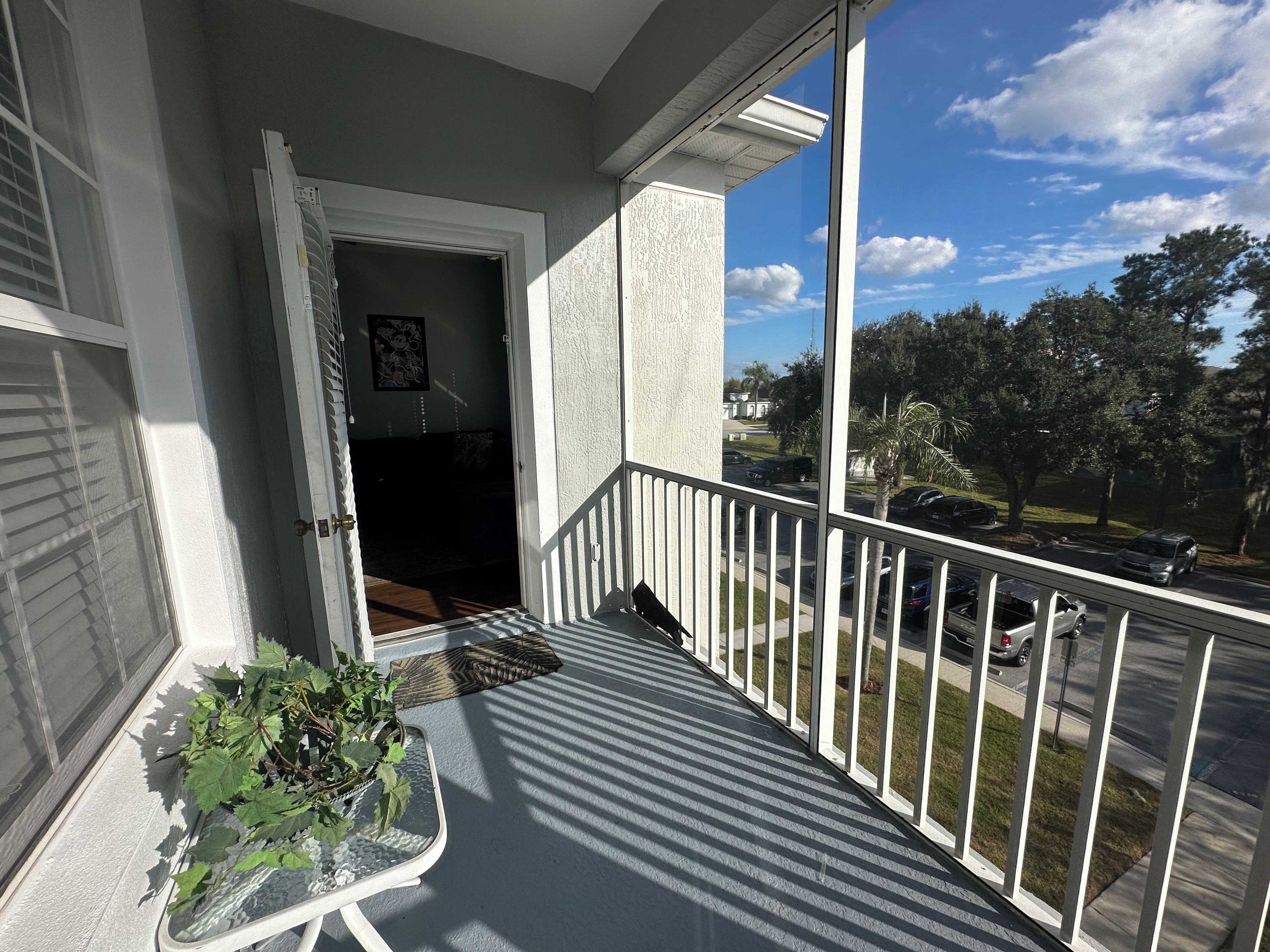 A balcony with a potted plant, a white railing, and a view of a street with parked cars and trees.