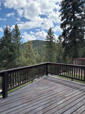 Eine Holterrasse mit Metallgeländer, die auf einen bewaldeten Bereich mit einem Berg im Hintergrund blickt.