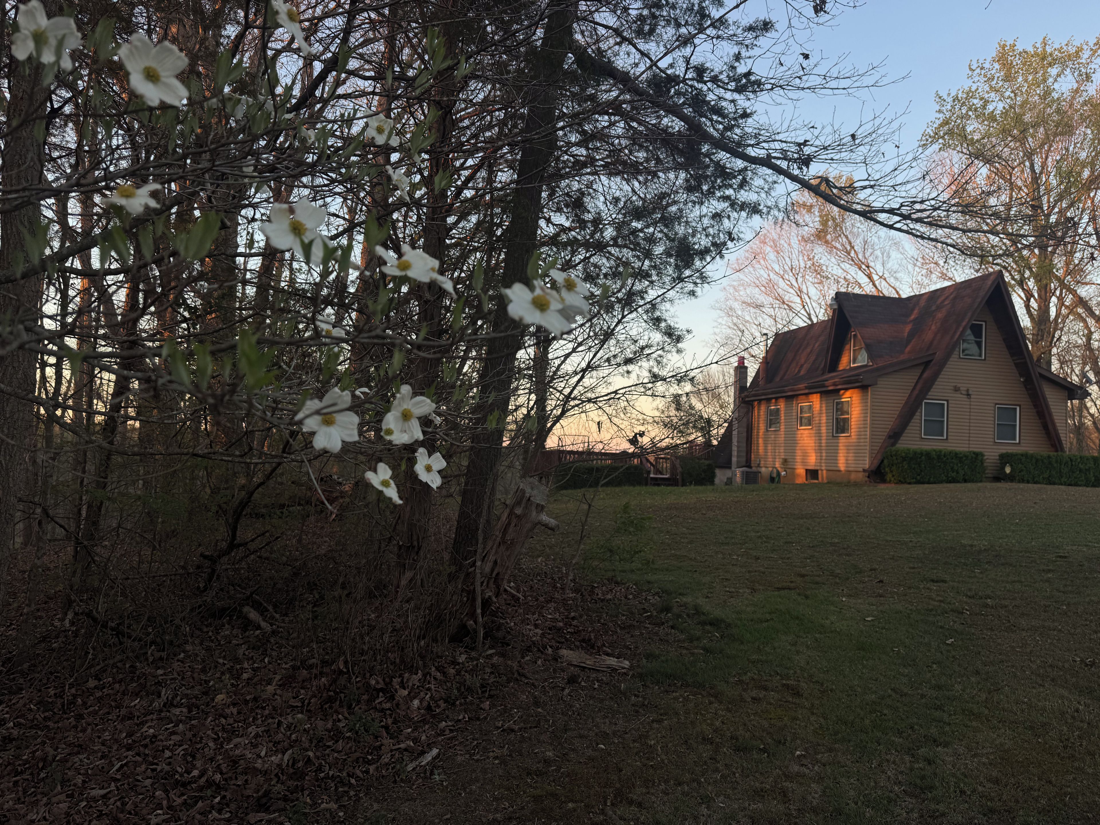 Une maison avec un toit en pente, entourée d’une cour verdoyante et d’arbres.