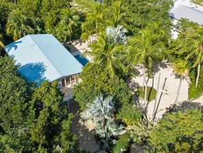A house with a blue roof surrounded by dense tropical vegetation and palm trees. - KeyLime Oasis - Private Pool, 3 Beds, 2 Baths, with Boat Parking (Tavernier)
