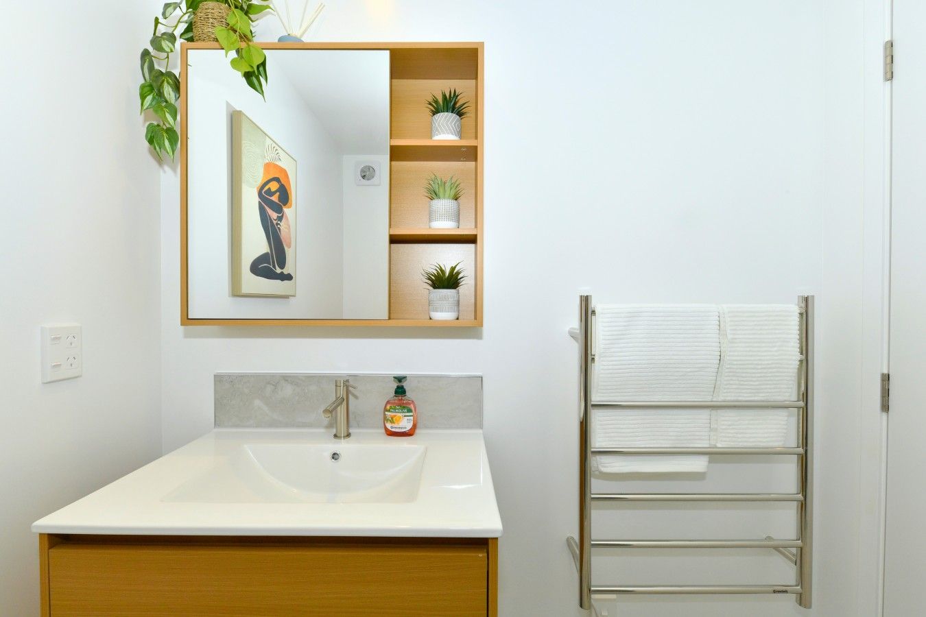 A bathroom with a white sink, a mirror, a towel rack, and a shelf with plants.