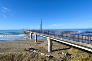 A coastal pier with a blue railing, concrete supports, and a clear sky. - The Marine Parade Haven with Private Parking (Christchurch)