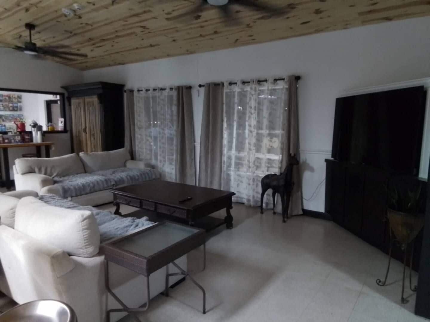 A living room with a sofa, a coffee table, a dog statue, and a television.