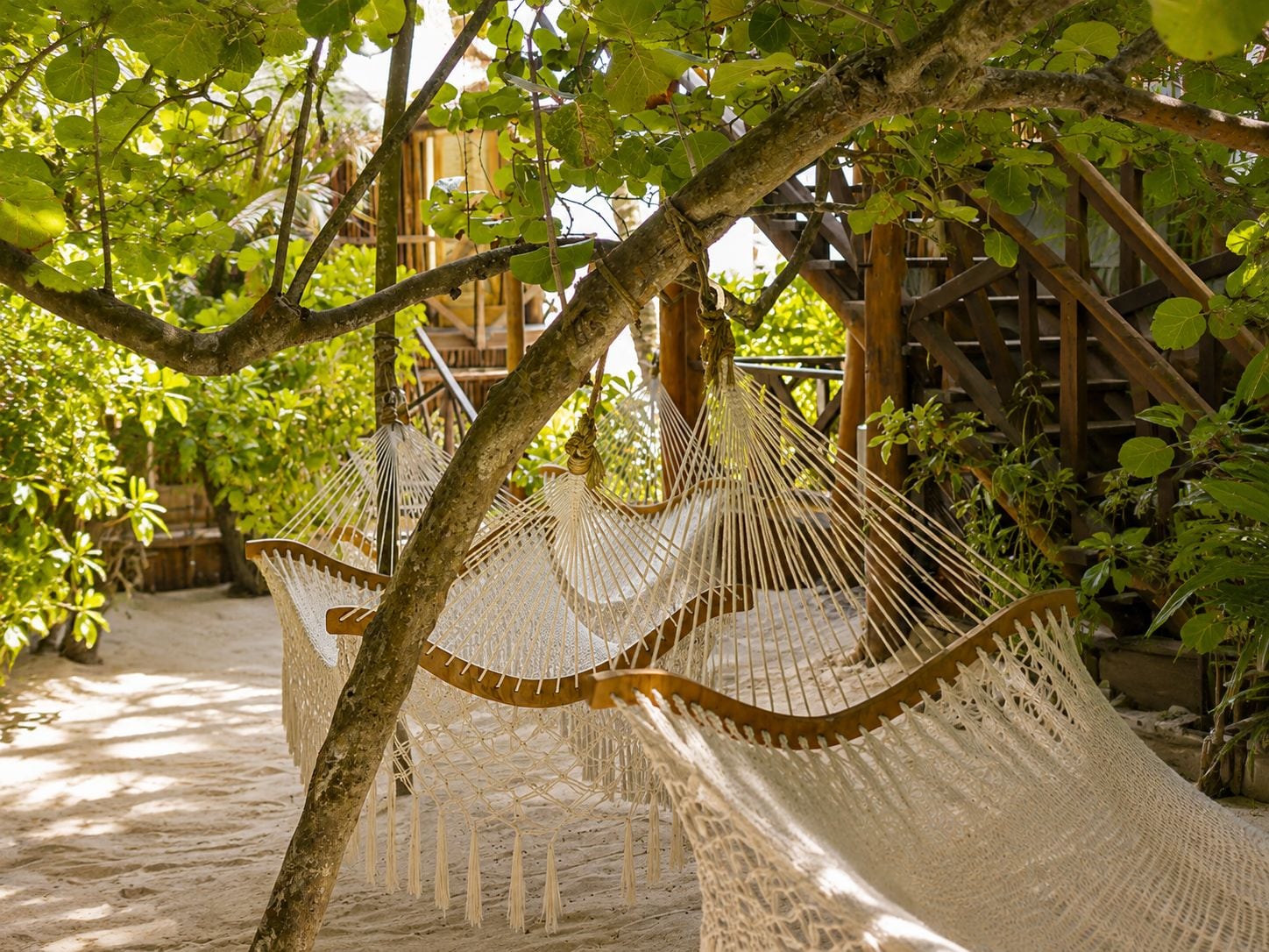 A hammock suspended between trees in a shaded area with a wooden structure in the background.