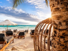 Una playa con sillas reclinables de madera y una sombrilla grande, una palmera y el océano al fondo.