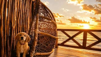 A wooden deck with a hanging wicker chair and a dog sitting on the floor.
