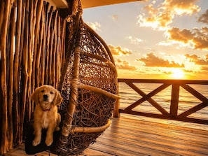 Una terraza de madera con una mecedora de mimbre colgante y un perro sentado en el suelo.