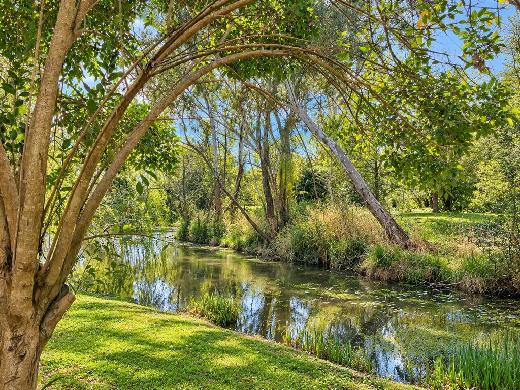 Una tranquilla scena lungo il fiume, con un percorso alberato e acque calme.