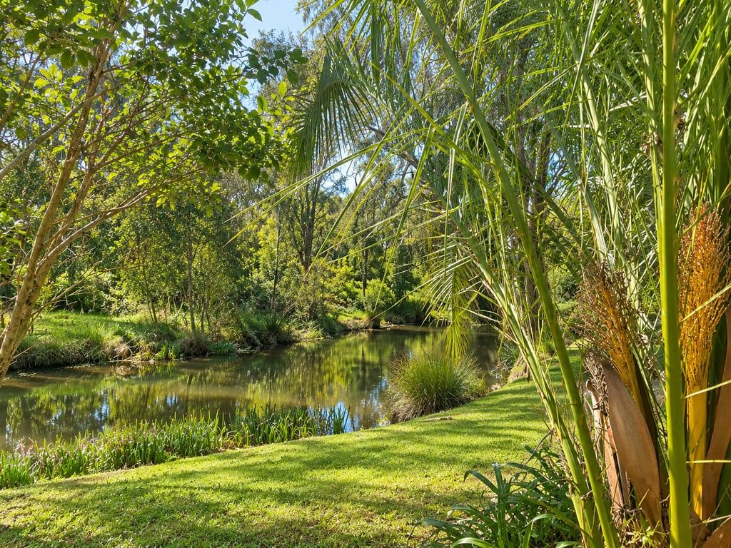 Un paisaje sereno con un estanque, abundante vegetación y diversos árboles.