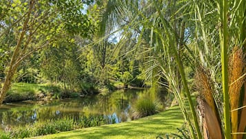 Un paisaje sereno con un estanque, abundante vegetación y diversos árboles.