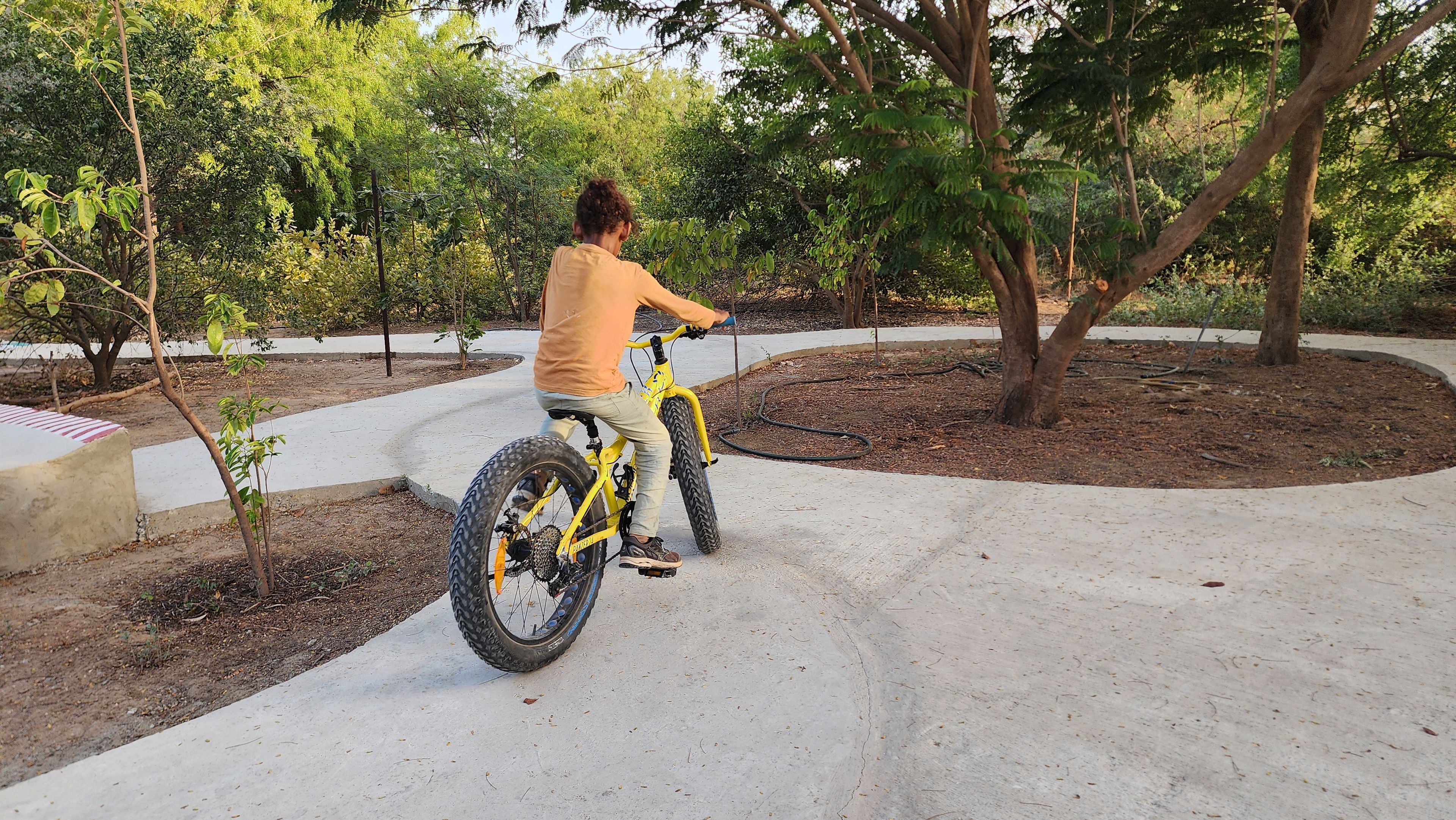 Una persona pedaleando una bicicleta amarilla por un sendero de hormigón rodeado de árboles y follaje.